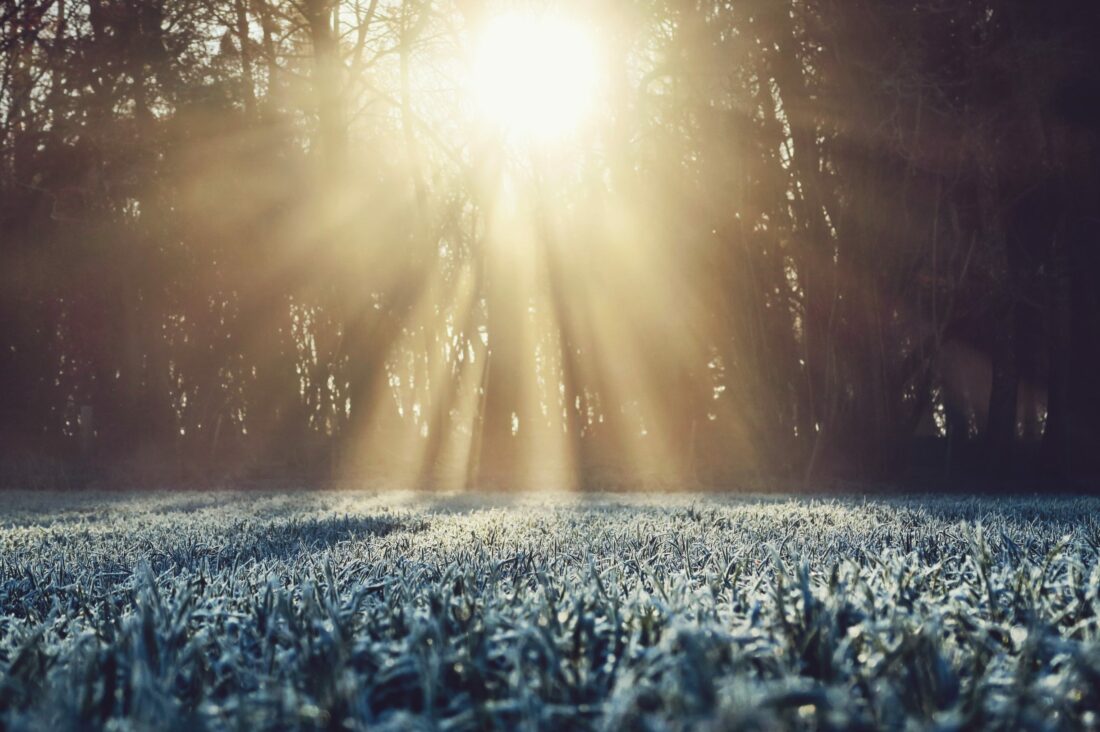 Sonnenschein auf einer Waldlichtung mit verschneiter Wiese. Winter Impression