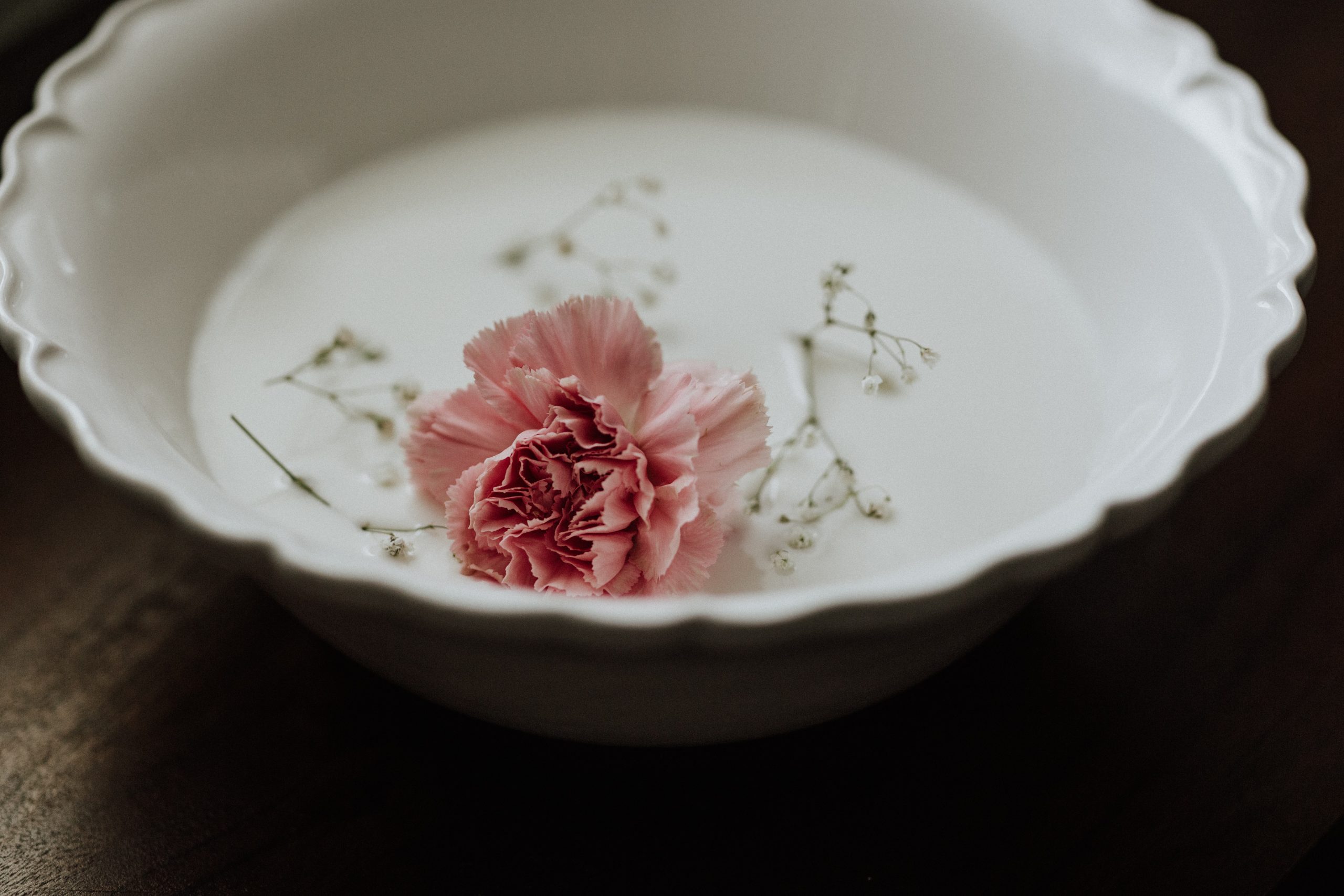 weiße Porzellanschüssel mit einer milchigen Flüssigkeit in der eine Rosenblüte und Blütenstile schwimmen.